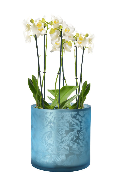 Windlicht Vase aus Glas blau silber mit Blattmuster 20cm
