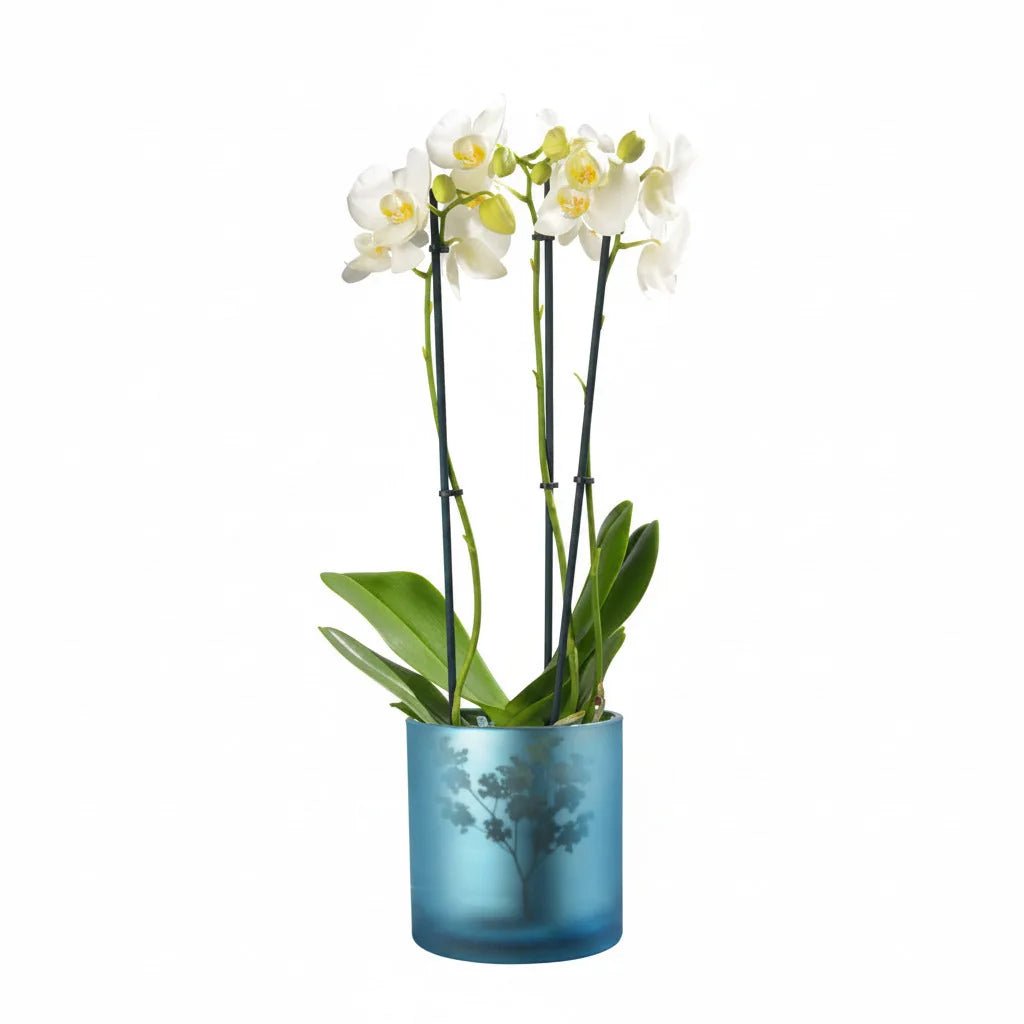 Windlicht Vase aus Glas blau silber mit Blumenmuster 15cm