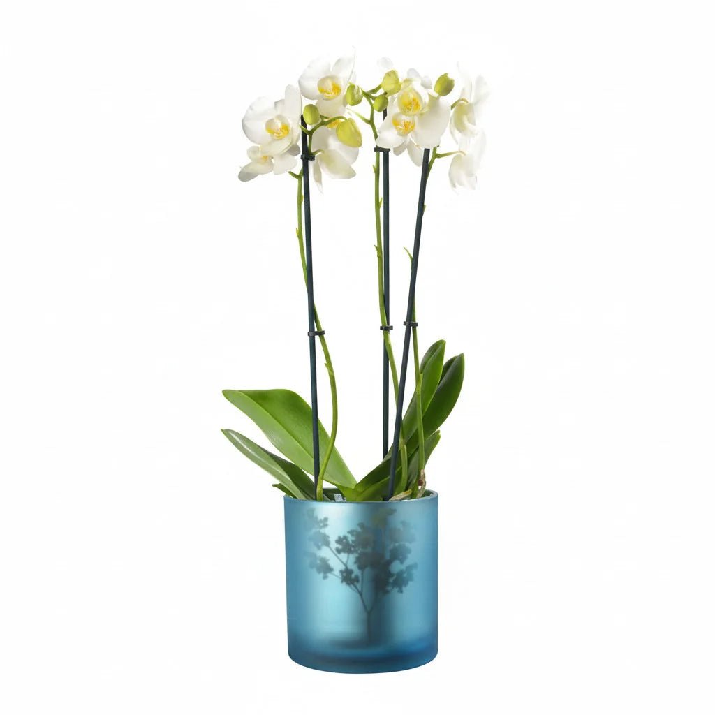 Vase Übertopf aus Glas blau silber mit Blumen 24,5cm