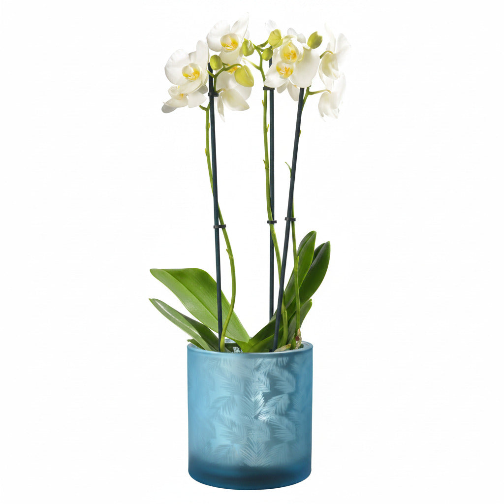 Windlicht Vase aus Glas blau silber mit Blattmuster 15cm