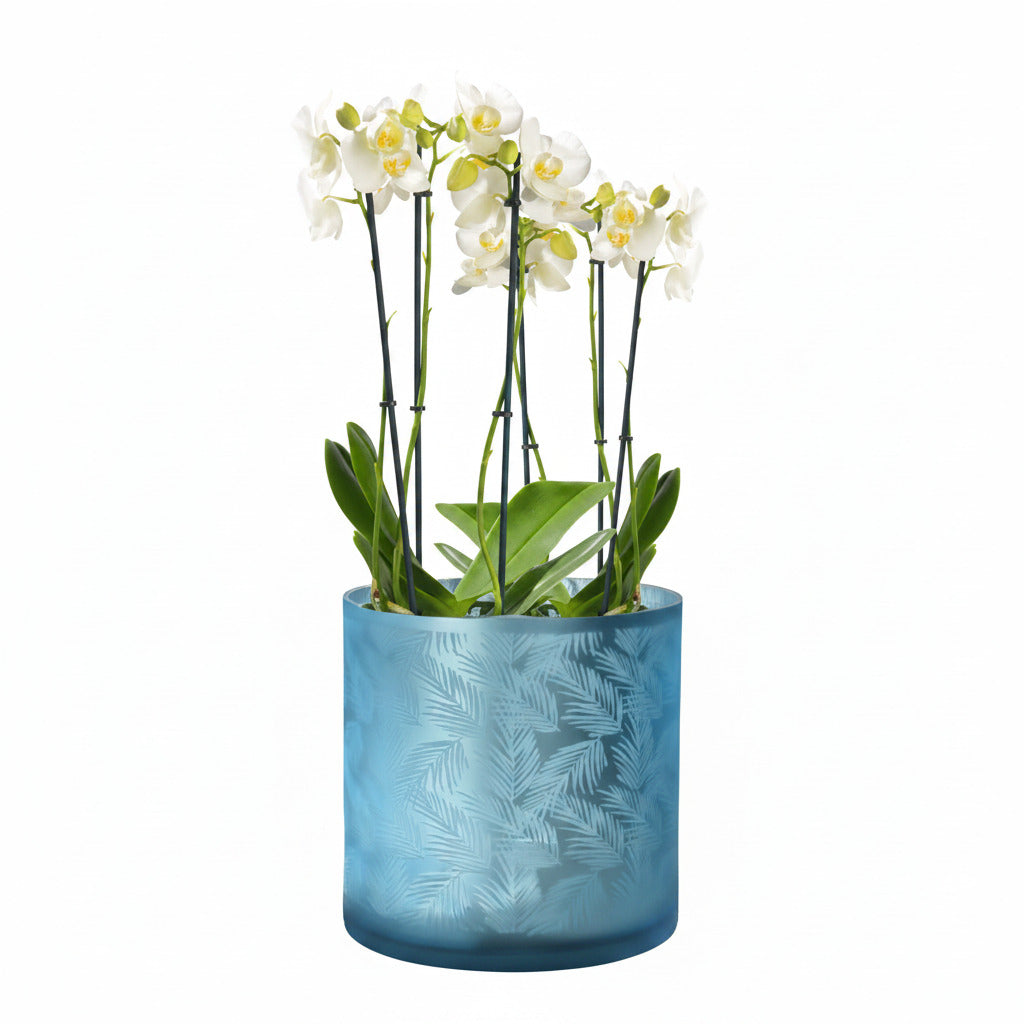 Windlicht Vase aus Glas blau silber mit Blattmuster 20cm