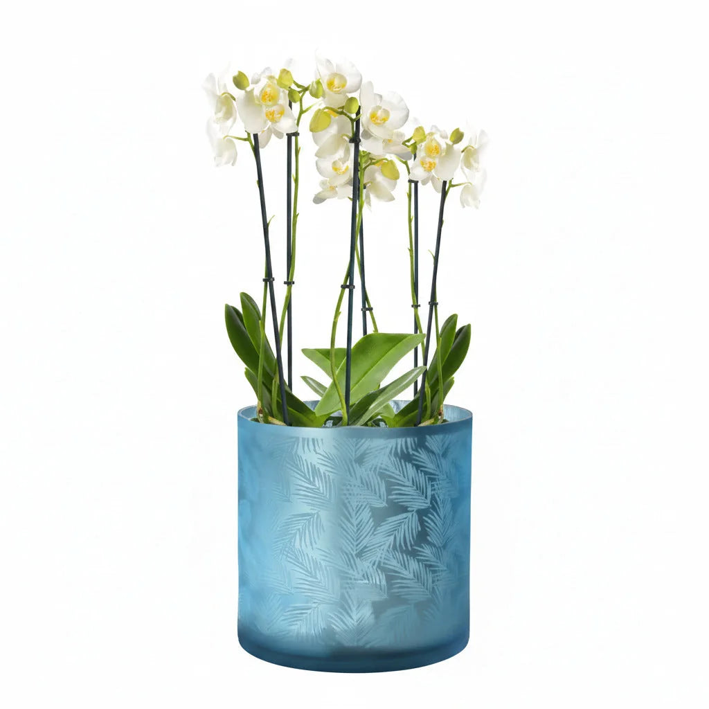 Windlicht Vase aus Glas blau silber mit Blattmuster 20cm