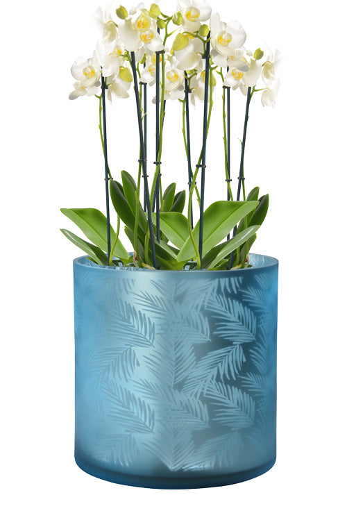 Windlicht Vase blau silber aus Glas mit Blattmuster 24,5cm
