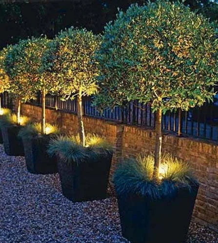 Power LED Gartenstrahler Positano mit Erdspieß
