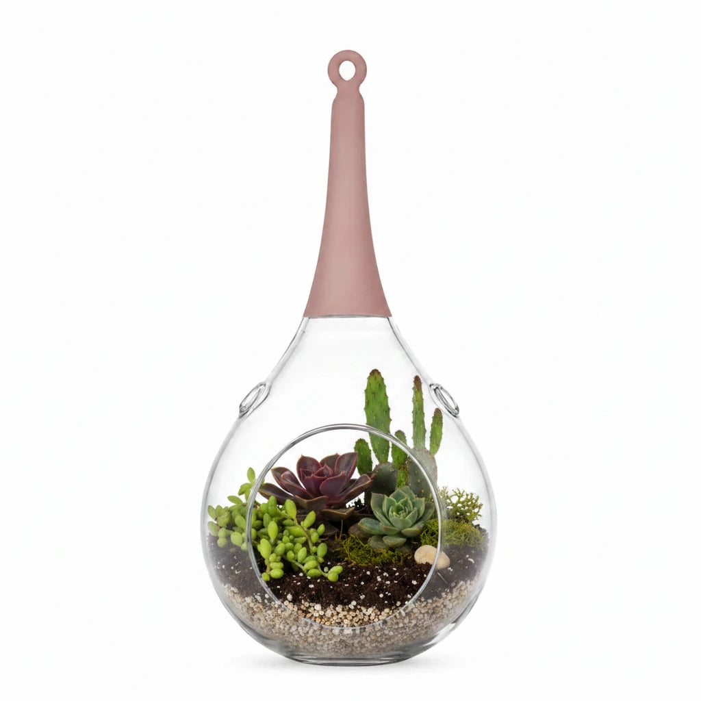 Sompex Taura Hängewindlicht aus transparentem Glas mit rosa Aufhängung als Terrarium mit Sukkulenten und Kakteen