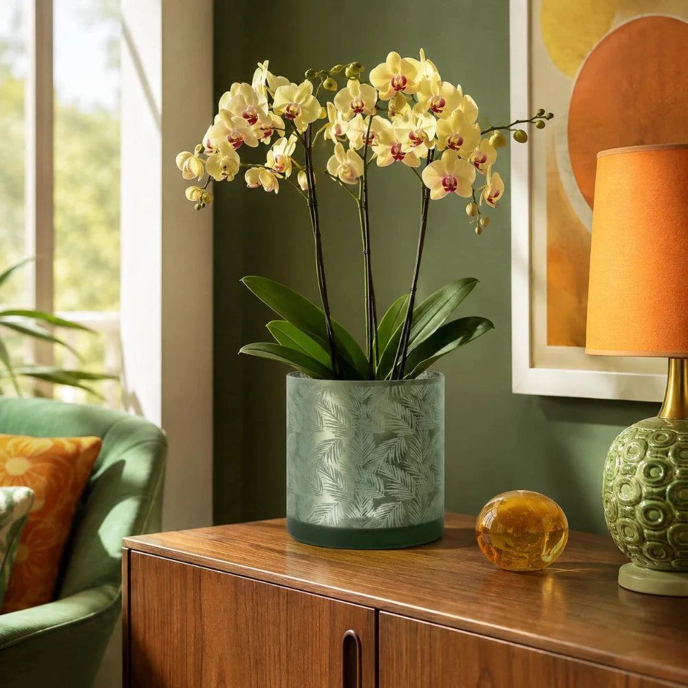 Windlicht Vase Übertopf aus Glas in Grün-Silber mit Farn- und Blattmuster, 20 cm, im Retro-Wohnzimmer mit Orchideenpflanze auf Sideboard